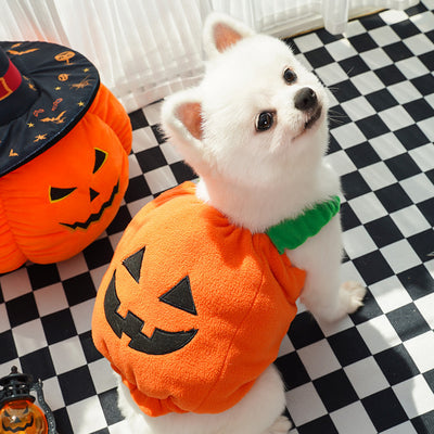 Halloween Pumpkin Vest For Dogs Cats Festive Pet Costume Harness Funny Thanksgiving Christmas Apparel For Small Animals Clothing